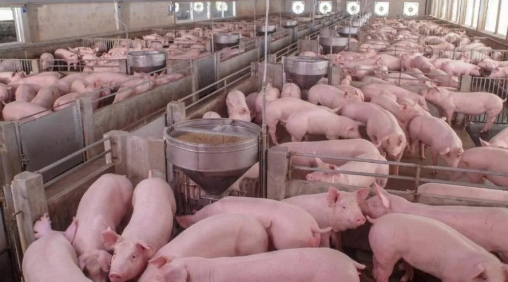 Novo mercado pode render R$ 520 milhões ao setor