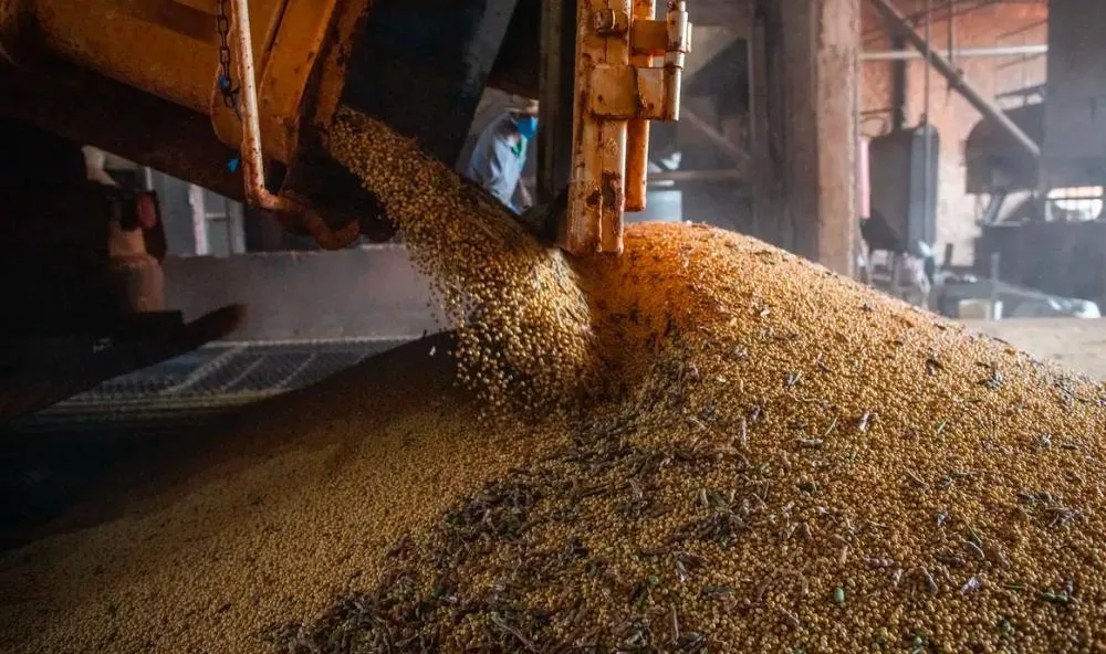 Produção brasileira de grãos deve aumentar apesar do El Niño