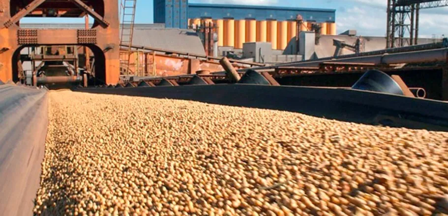 Esmagamento de soja em Mato Grosso cresce e margem bruta baixa